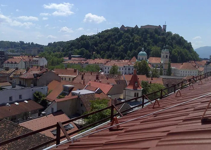 بيت شباب Rainbow